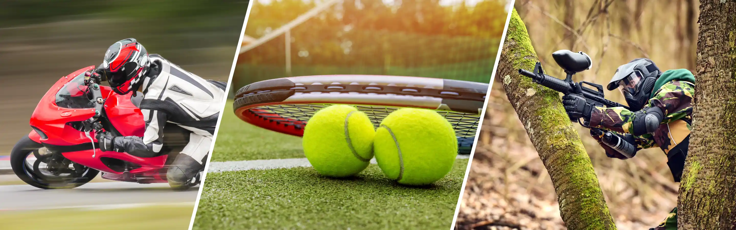 De Facto ERP Software for the Leisure Industry