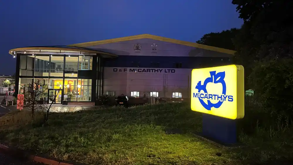 McCarthys Case Study for De Facto Software ERP